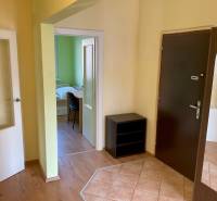 Předsíň s tmavými dveřmi, podlaha s dřevěným dekorem, výhled do pokoje.