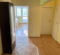 Chodba ve 3-pokojovém bytě s podlahou s dřevěným dekorem a vestavěnou skříní.