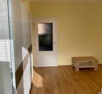 Pokoj s podlahou s dřevěným dekorem, světlými stěnami a jednoduchým nábytkem v 3-pokojovém bytě.