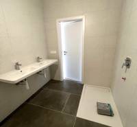 Koupelna s dvojitým umyvadlem a sprchovým koutem v 2-pokojovém bytě. Čistý design.