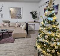 V rodinném domě s podlahou s dřevěným dekorem je ozdobený vánoční stromeček a sedačka.