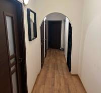 Úzká chodba v 2-pokojovém bytě s podlahou s dřevěným dekorem a tmavými dveřmi.