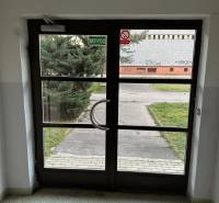 Skleněné vchodové dveře z interiéru, východ vede k upravenému trávníku a chodníku.