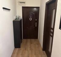 Vstupní chodba s podlahou s dřevěným dekorem v 2pokojovém bytě.