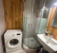Koupelna v 2-pokojovém bytě s pračkou, sprchovým koutem a umyvadlem, dřevěný dekor stěn.