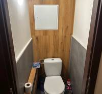 Toaleta s podlahou s dřevěným dekorem v 2-pokojovém bytě.