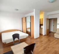 1+kk byt s podlahou s dřevěným dekorem, postelí, gaučem a skříní.
