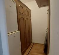 Chodba 1-pokojového bytu s dřevěnými skříňkami a podlahou s dřevěným dekorem.