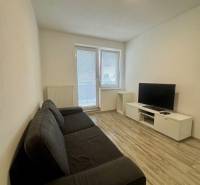 Obývací pokoj v 2pokojovém bytě s pohovkou, televizí a podlahou s dřevěným dekorem.