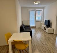 Obývací pokoj dvoupokojového bytu s podlahou s dřevěným dekorem a světlým posezením.