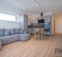 Obývací pokoj v 2-pokojovém bytě s šedou sedačkou a kuchyní s dřevěným nábytkem.