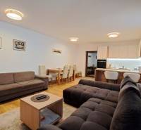 Obývací pokoj dvoupokojového bytu s pohovkami, jídelním stolem a kuchyní, podlaha s dřevěným dekorem.