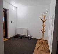 Chodba v 2-pokojovém bytě s podlahou s dřevěným dekorem, radiátorem a věšákem.