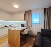 Kuchyně v 2-pokojovém bytě s barovým pultem a podlahou s dřevěným dekorem.