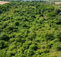 Zeleň pokrývá rozlehlé pozemky - komerční v Ivance pri Nitře, obklopené poli a stromy.