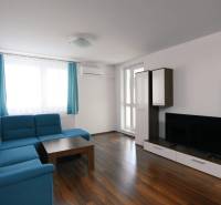 Obývací pokoj v 2-pokojovém bytě s modrou pohovkou a podlahou s dřevěným dekorem.