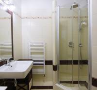 Koupelna se sprchovým koutem a umyvadlem v 2-pokojovém bytě s dlažbou.