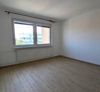 Pokoj v 1-pokojovém bytě s podlahou s dřevěným dekorem a velkým oknem.