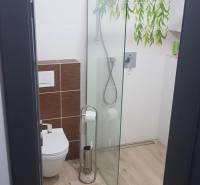 Koupelna se skleněným sprchovým koutem, dekorativními dlaždicemi a podlahou s dřevěným dekorem.