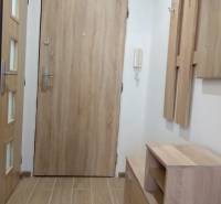 Vstupní chodba v 1-pokojovém bytě s dřevěným dekorem a praktickým nábytkem.