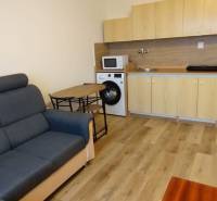 Obývací pokoj v 1-pokojovém bytě s pohovkou, kuchyňským koutem a podlahou s dřevěným dekorem.