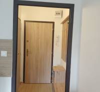 Interiér garsonky s podlahou s dřevěným dekorem a dřevěnými dveřmi.