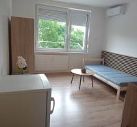 Garsonka má podlahu s dřevěným dekorem, rozkládací gauč a stolek s rostlinou.