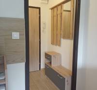 Předsíň v garsonce s podlahou s dřevěným dekorem a věšákovou stěnou.