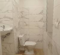 Koupelna garsonky s toaletou, umyvadlem a podlahou s dřevěným dekorem.