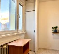 Interiér 1-pokojového bytu s oknem, stolkem, rostlinami na poličce a radiátorem pod oknem.