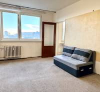 Obývací pokoj v jednopokojovém bytě s pohovkou a velkým oknem se světlem.