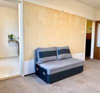 Šedá pohovka a koberec v pokoji jednopokojového bytu, světlé stěny s dekorem, vstup do kuchyně.