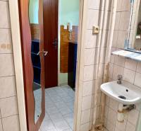 Koupelna v 1-pokojovém bytě se zrcadlem, umyvadlem a bílými obkladačkami.