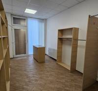 Policové regály a úložné prostory s podlahou s dřevěným dekorem.