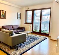 Obývací pokoj s pohovkou, křeslem, kobercem a velkým oknem v 2-pokojovém bytě.