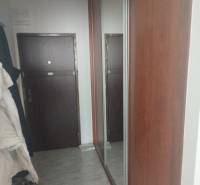 Chodba s dlažbou a velkým zrcadlem v garsonce.