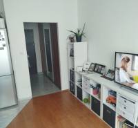 Garsonka s podlahou s dřevěným dekorem, televizorem a úložnými prostory.