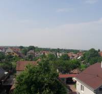 Pohled na rodinné domy v Chorvatském Grobu z ulice Školská, v pozadí zeleň.