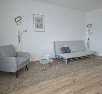 Obývací pokoj s křeslem, pohovkou a podlahou s dřevěným dekorem ve 3-pokojovém bytě.