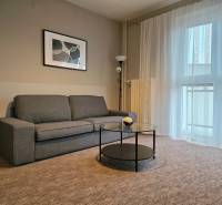 Obývací pokoj ve 3pokojovém bytě s pohodlnou šedou sedačkou a jednoduchými dekoracemi.