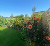 Květinová zahrada u rodinného domu na Radové ulici v Nové Dedince, lemovaná plotem.