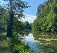 Poklidný vodní tok obklopený bujnou vegetací a odrazy oblohy v Nové Dedince.