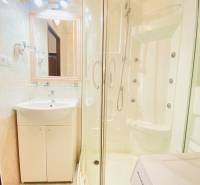 Koupelna s rohovou sprchou, umyvadlem a pračkou v 2-pokojovém bytě.