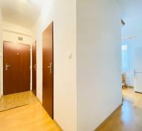 Vstupní hala v 2-pokojovém bytě s podlahou s dřevěným dekorem.