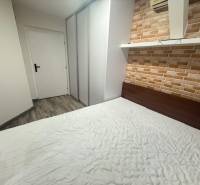 Ložnice s cihlovým dekorem v 1-pokojovém bytě, na podlaze podlaha s dřevěným dekorem.