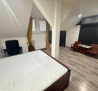 Ložnice v jednopokojovém bytě s podlahou s dřevěným dekorem a pracovním stolem.