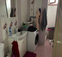 Koupelna v rodinném domě se sanitou, pračkou a květinovým obkladem.