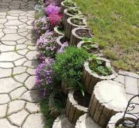 Květinový záhon podél dlažby u rodinného domu ve Vršatském Podhradí.