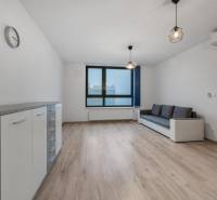 Obývací pokoj v 2-pokojovém bytě s pohovkou a podlahou s dřevěným dekorem.