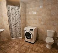 Koupelna v 3pokojovém bytě se sprchou, dvojitým umyvadlem, toaletou a pračkou.